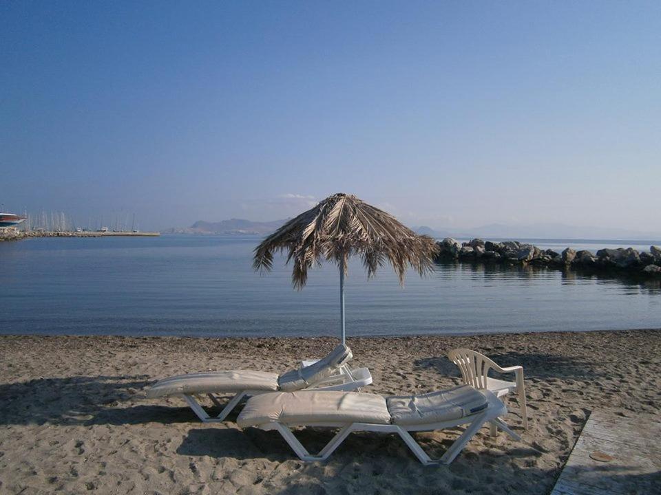 Theodorou Beach Hotel Apartments Psalidi  Bagian luar foto